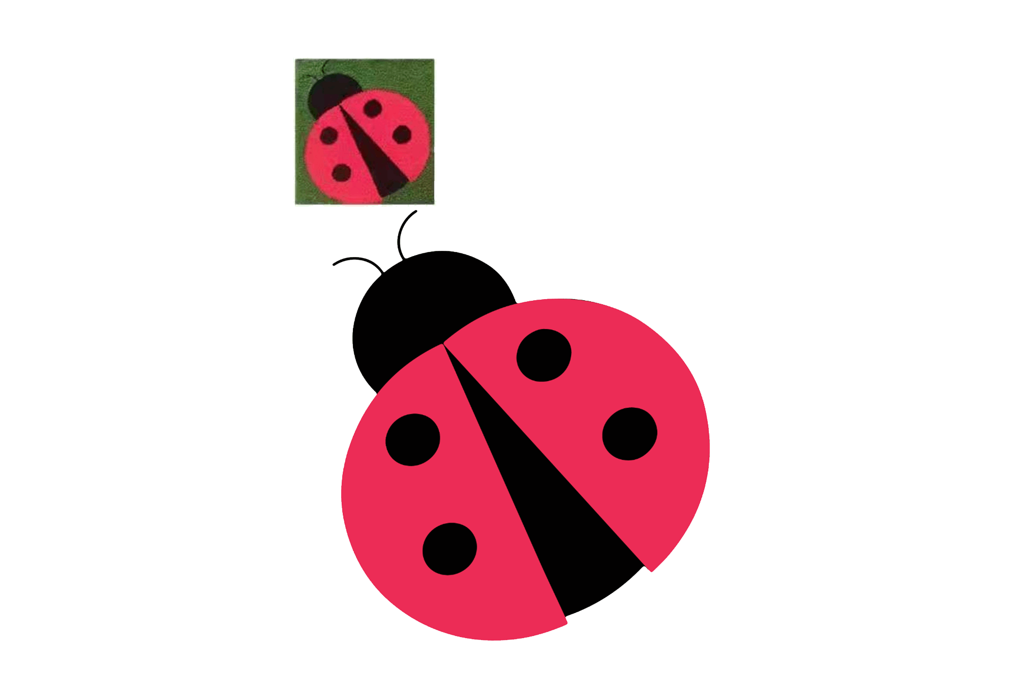 Coccinelle(Design)